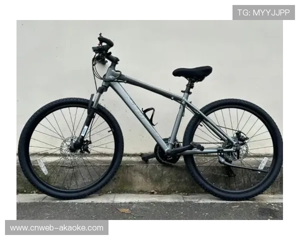 户外运动装备租赁服务兴起，降低山地自行车运动参与门槛